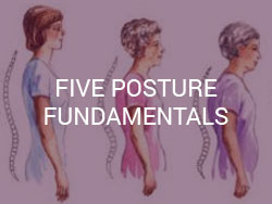 Five Posture Fundamentals